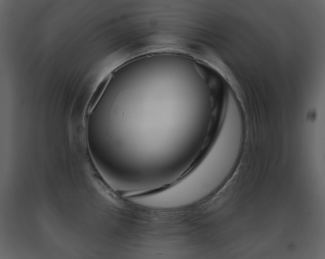 X0000091721242200708241342