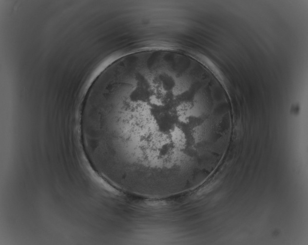 X0000091721243200708241342