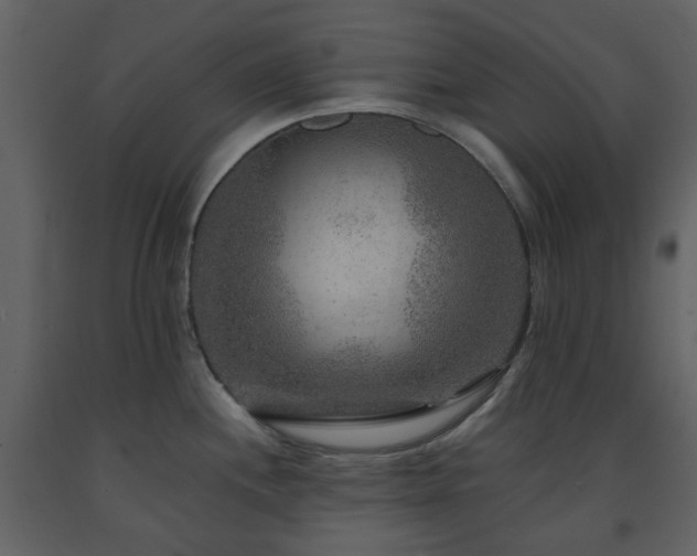 X0000091721244200708241342