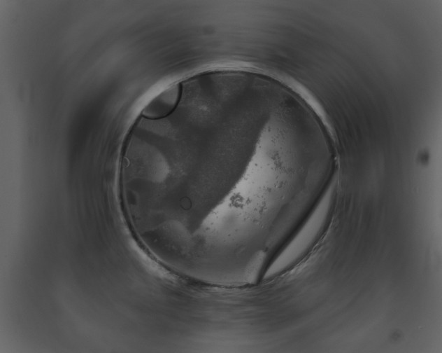 X0000091721245200708241342