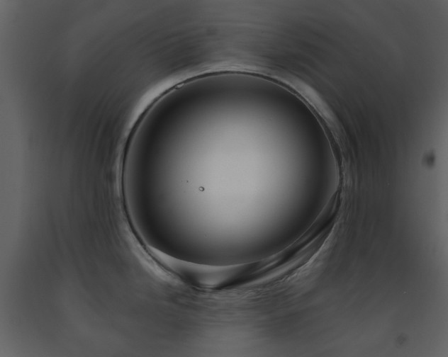 X0000091721246200708241342