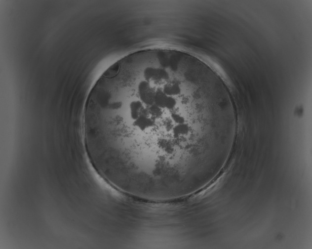 X0000091721247200708241342