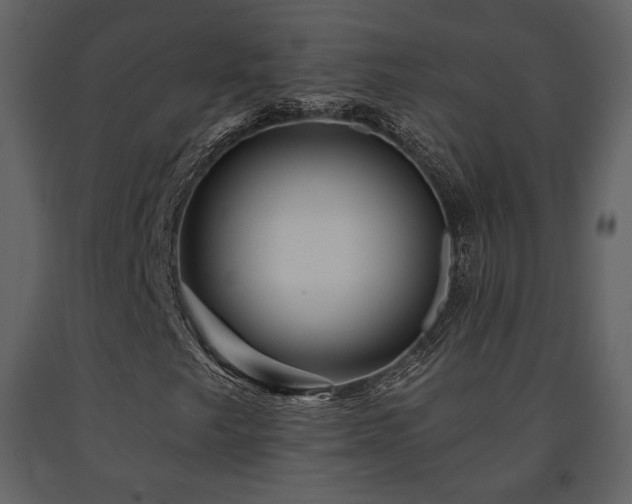 X0000091721249200708241341
