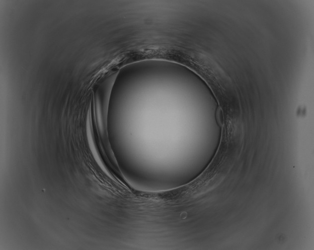 X0000091721250200708241341