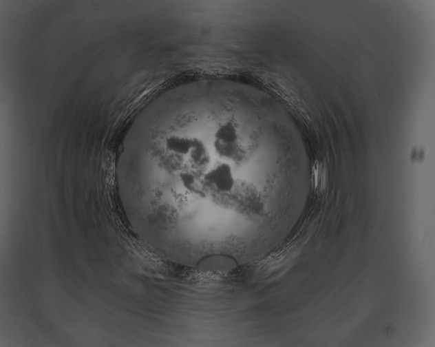 X0000091721251200708241341