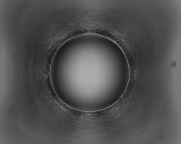 X0000091721253200708241341