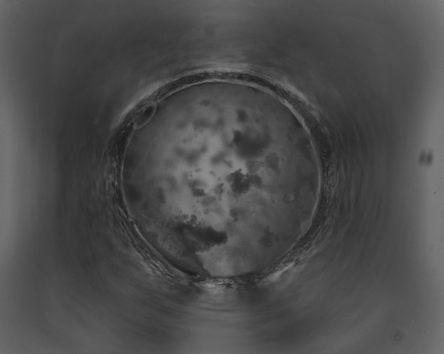 X0000091721255200708241341