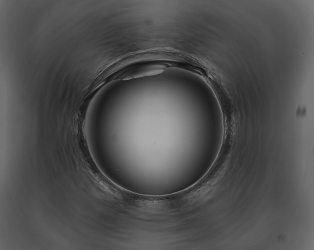 X0000091721257200708241341