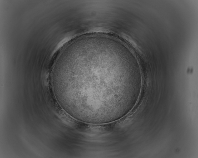 X0000091721258200708241341