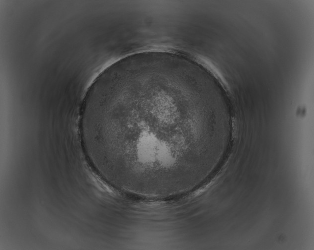 X0000091721260200708241341
