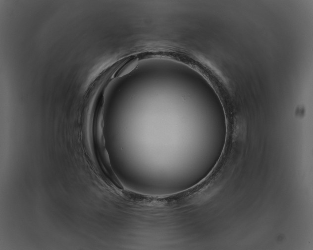 X0000091721261200708241341