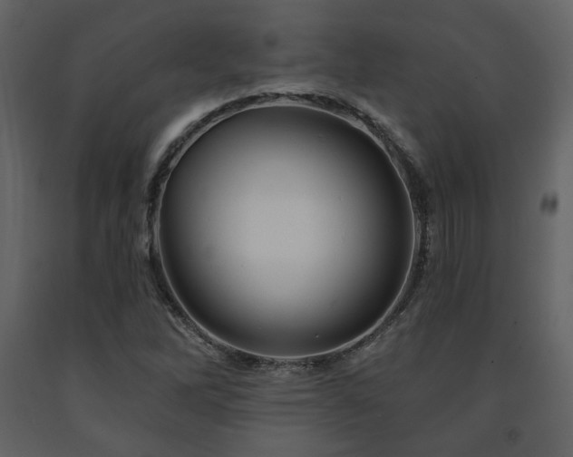 X0000091721262200708241341