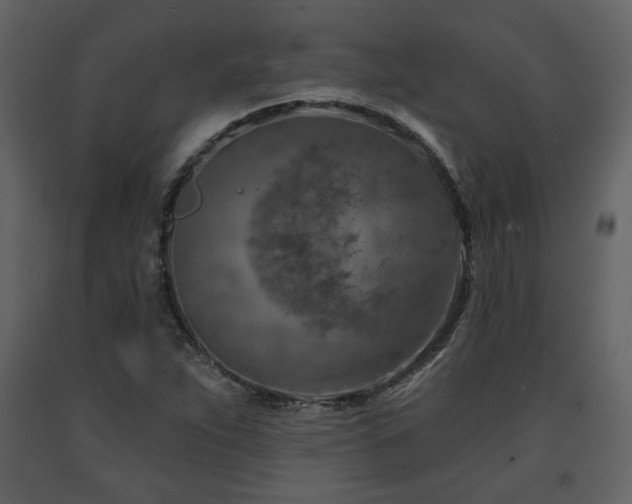 X0000091721263200708241341