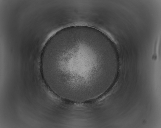 X0000091721264200708241341