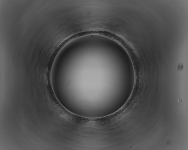 X0000091721265200708241341