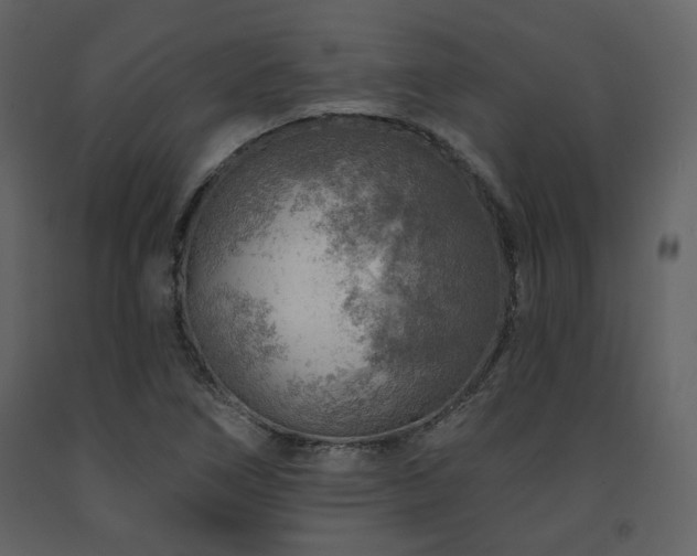 X0000091721266200708241341