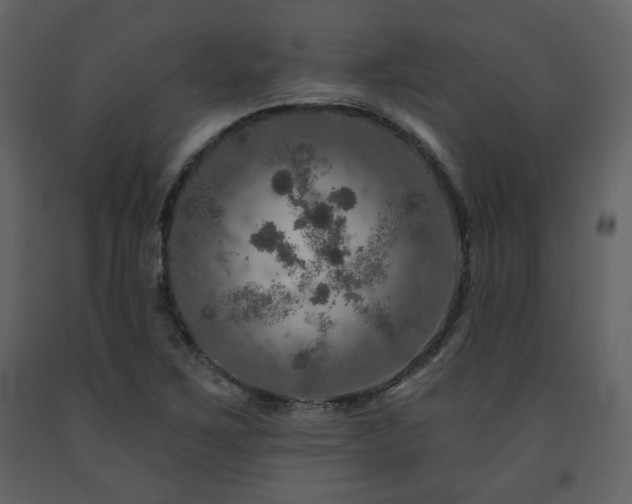 X0000091721267200708241341