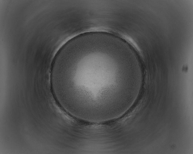 X0000091721268200708241341