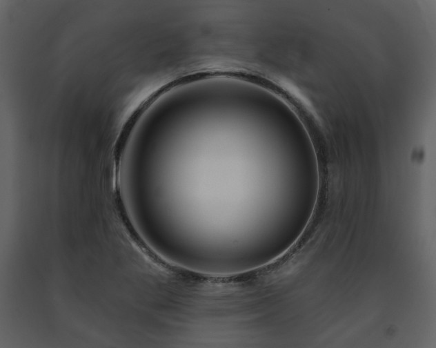 X0000091721269200708241341