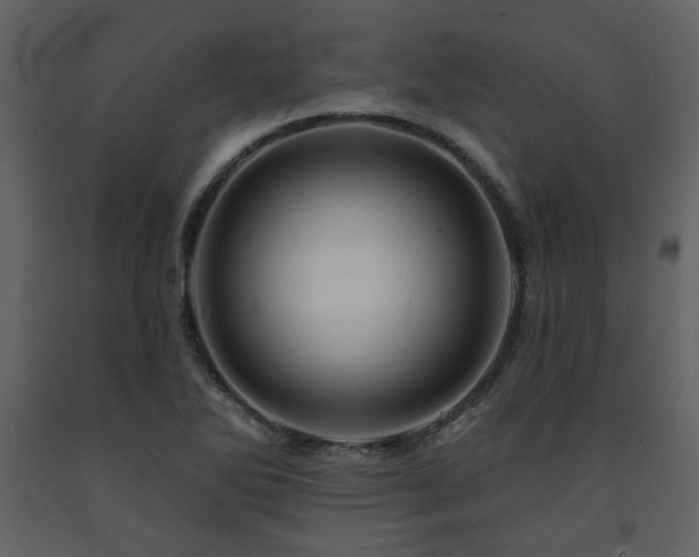 X0000091721270200708241341