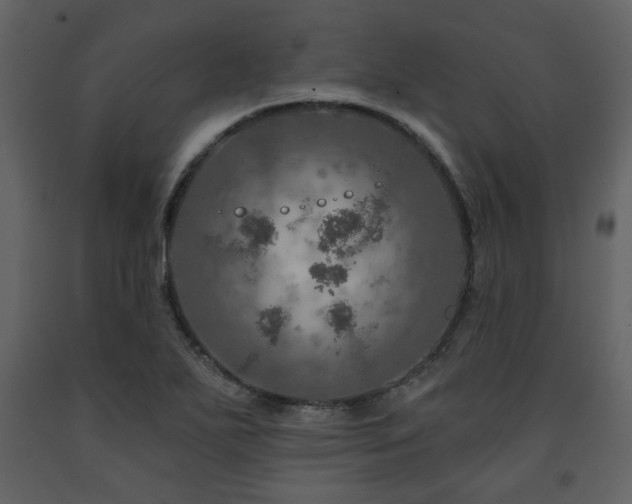 X0000091721271200708241341