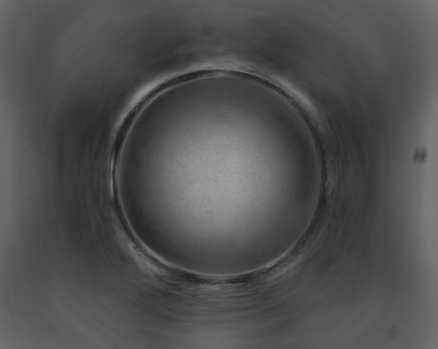 X0000091721272200708241341