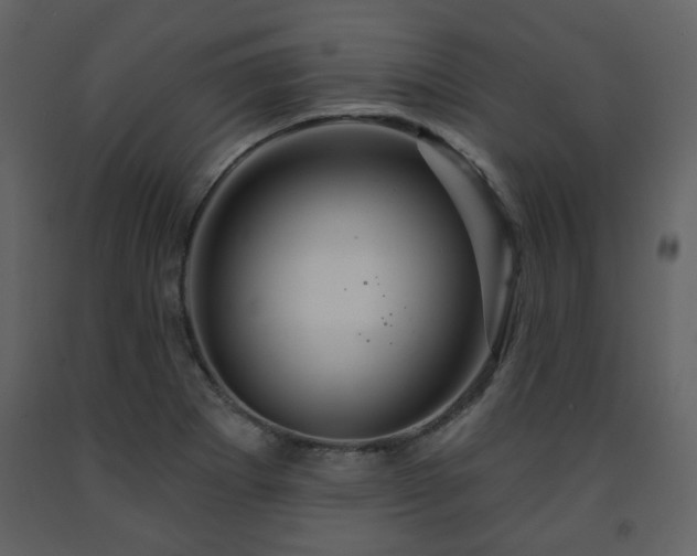 X0000091721273200708241341