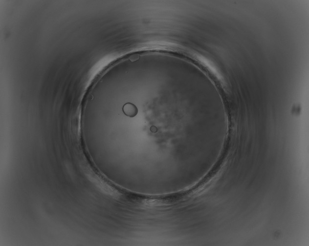 X0000091721275200708241341