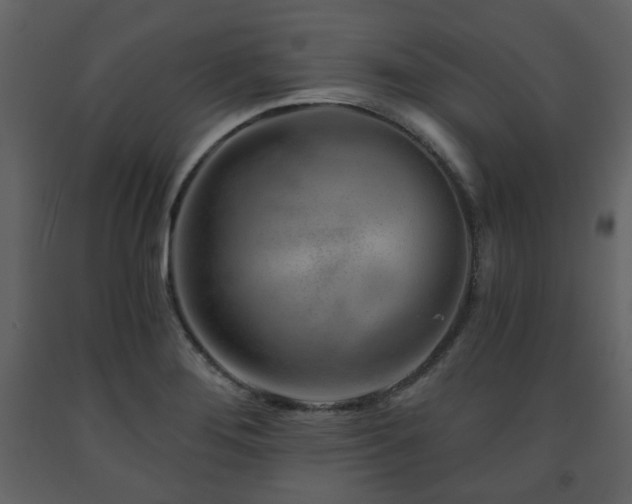 X0000091721276200708241341