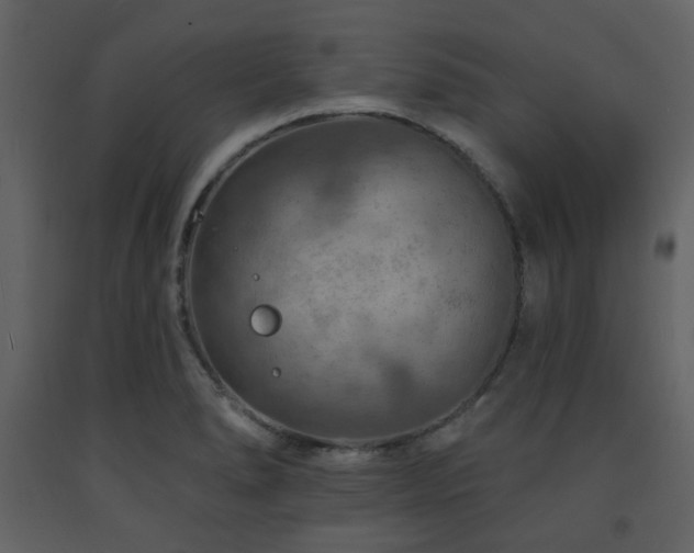 X0000091721278200708241341