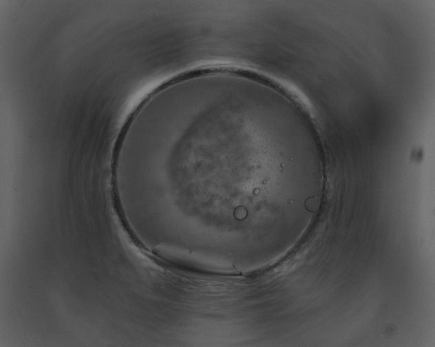 X0000091721279200708241341