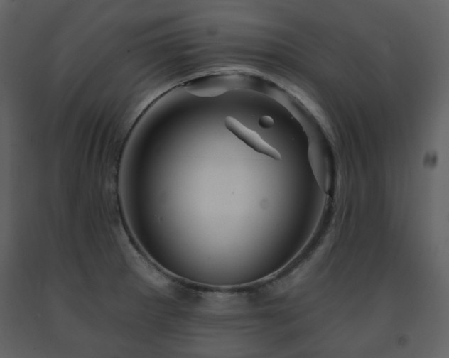 X0000091721281200708241341