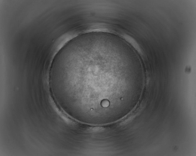 X0000091721282200708241341