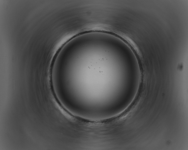 X0000091721285200708241340