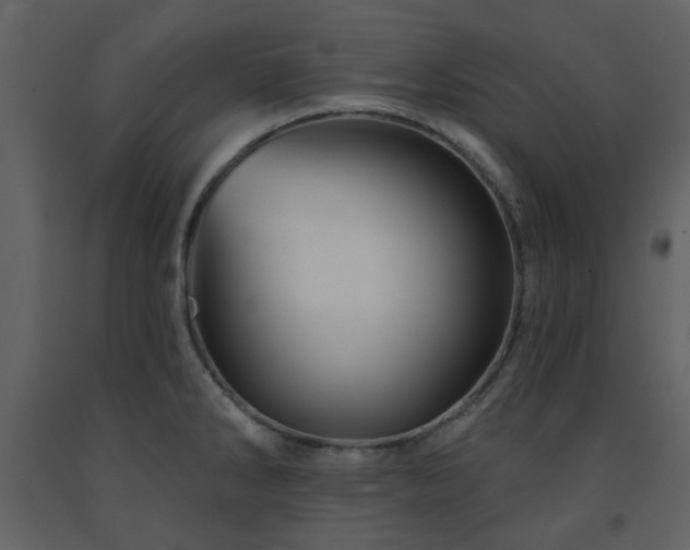 X0000091721286200708241340