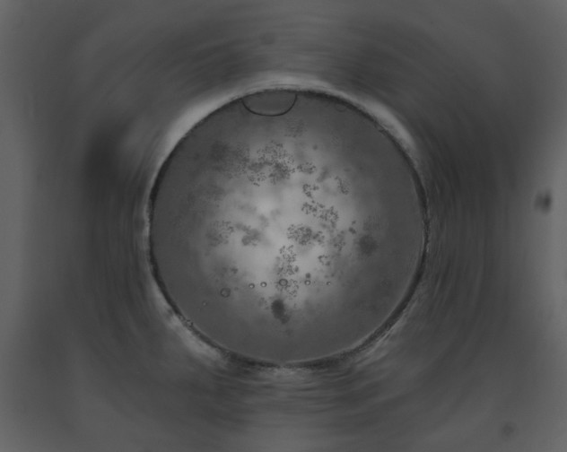 X0000091721287200708241340