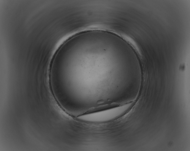X0000091721288200708241340