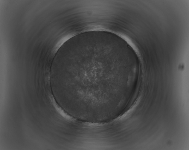 X0000091721289200708241340