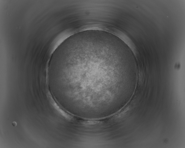 X0000091721290200708241340