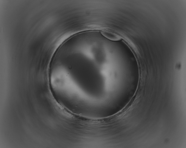 X0000091721291200708241340