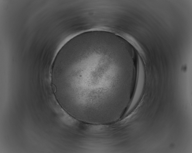 X0000091721292200708241340