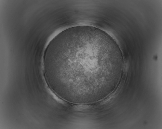 X0000091721294200708241340