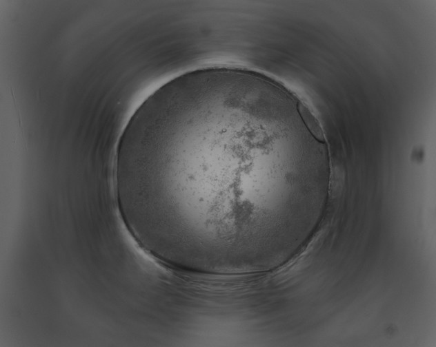 X0000091721295200708241340