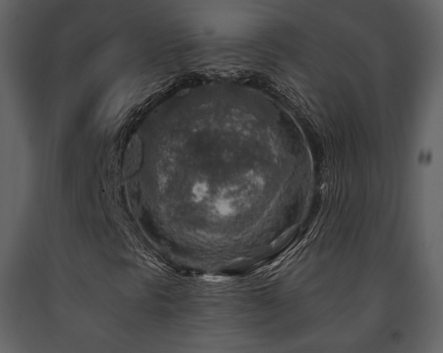 X0000091721297200708241339