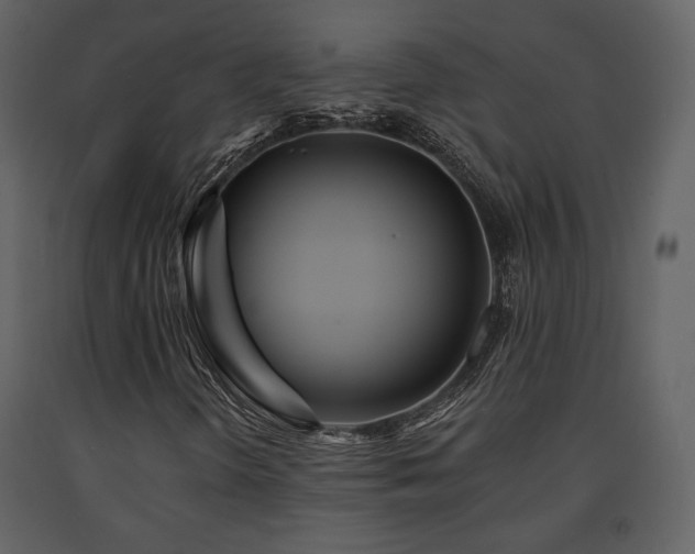 X0000091721298200708241339