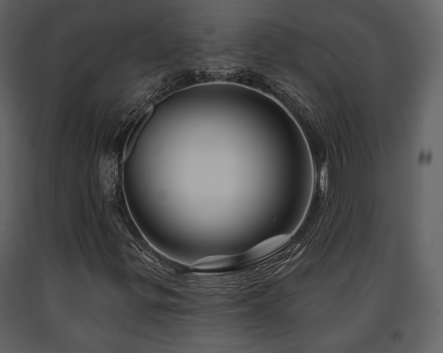X0000091721299200708241340