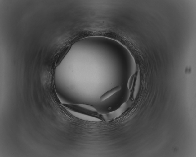 X0000091721300200708241340