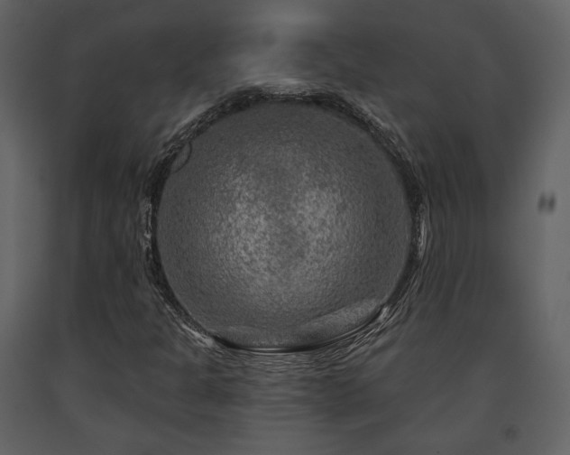 X0000091721301200708241340