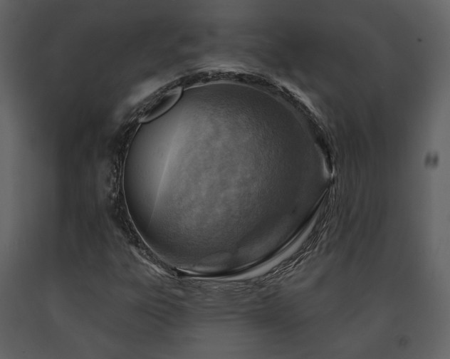 X0000091721303200708241340