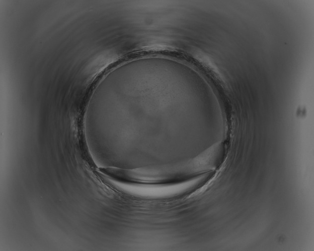 X0000091721305200708241340